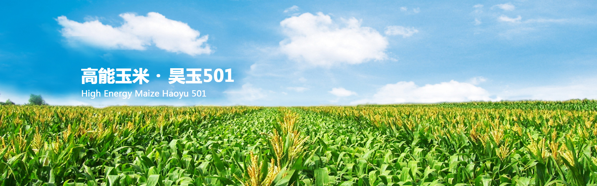 種子加工倉儲管理